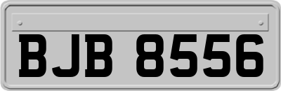 BJB8556