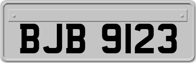 BJB9123