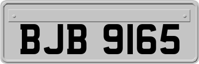 BJB9165