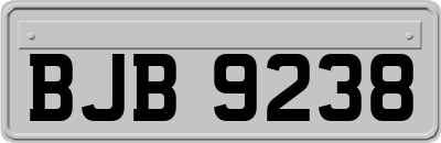 BJB9238