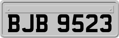 BJB9523