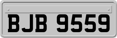 BJB9559