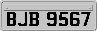 BJB9567