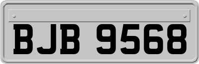 BJB9568