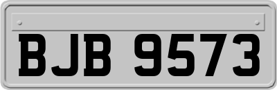 BJB9573