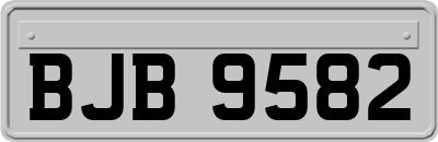 BJB9582