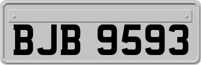 BJB9593