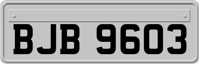 BJB9603
