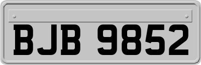 BJB9852
