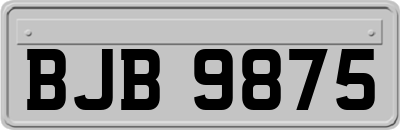 BJB9875