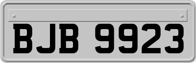 BJB9923