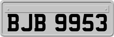 BJB9953