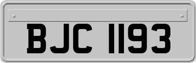 BJC1193
