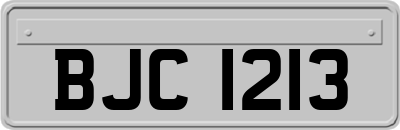BJC1213