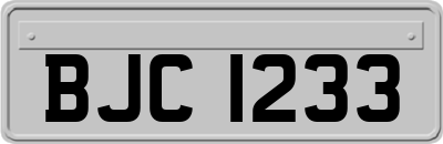 BJC1233