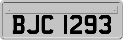 BJC1293