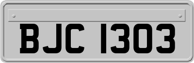 BJC1303