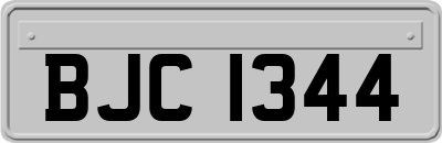 BJC1344