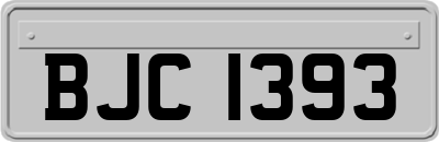 BJC1393