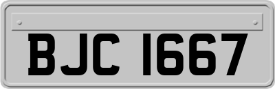 BJC1667
