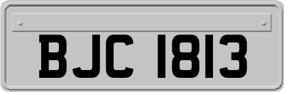 BJC1813