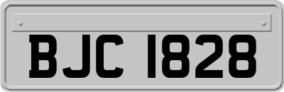 BJC1828