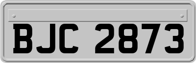BJC2873