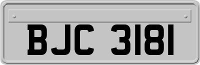 BJC3181