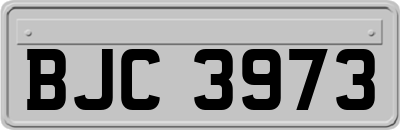 BJC3973