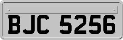 BJC5256