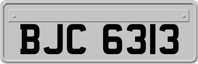 BJC6313