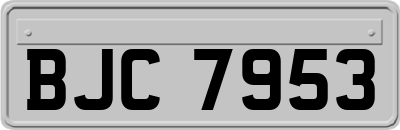 BJC7953