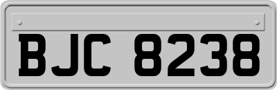 BJC8238