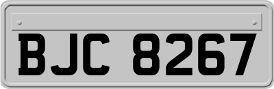 BJC8267