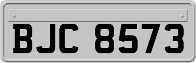 BJC8573