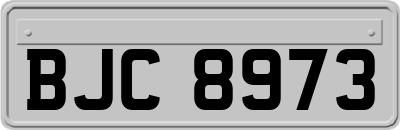 BJC8973