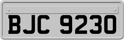 BJC9230
