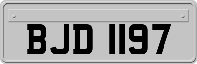 BJD1197