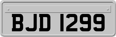 BJD1299