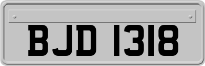 BJD1318