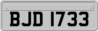 BJD1733