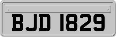 BJD1829