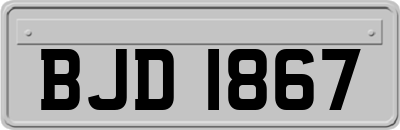 BJD1867