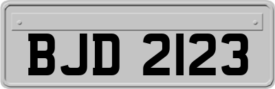 BJD2123