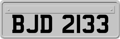BJD2133