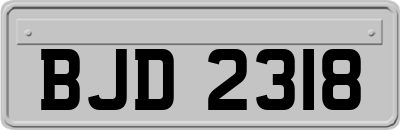BJD2318
