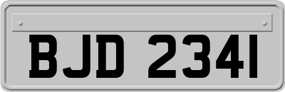 BJD2341