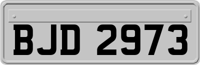BJD2973