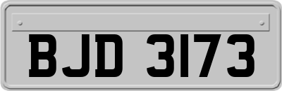 BJD3173