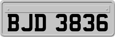 BJD3836